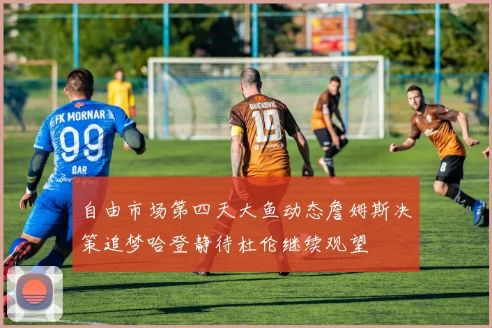 自由市场第四天大鱼动态詹姆斯决策追梦哈登静待杜伦继续观望